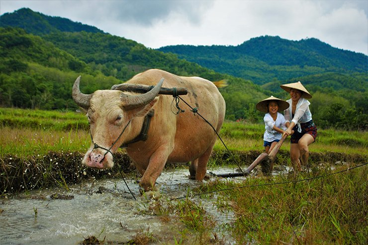 Gambar Industri Terbesar di Laos