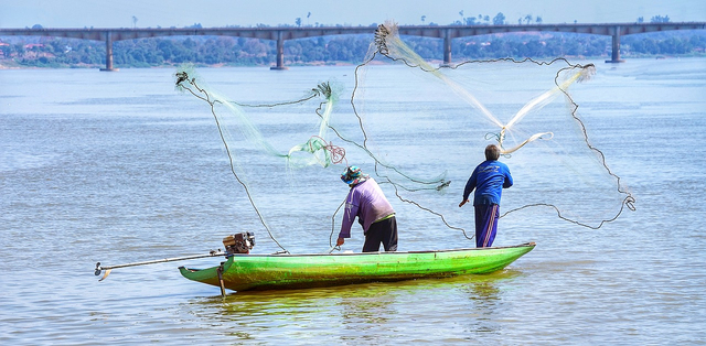 Membidik Lautan Peluang: Bisnis Perikanan di Laos